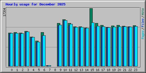 Hourly usage for December 2025