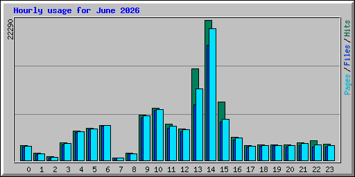 Hourly usage for June 2026